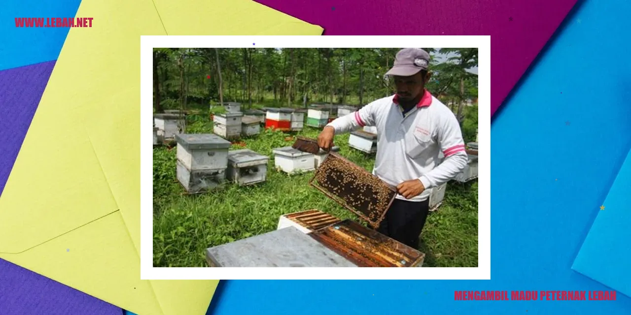 Mengambil Madu Peternak Lebah