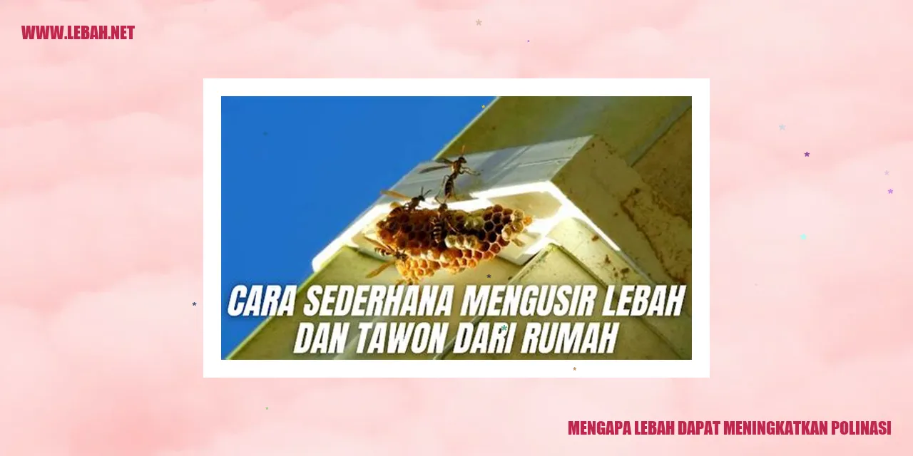 Gambar Lebah