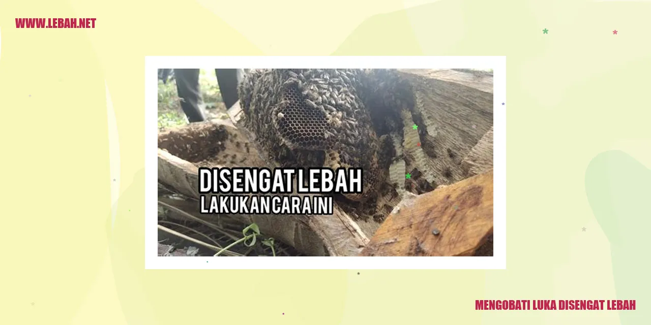 mengobati luka disengat lebah