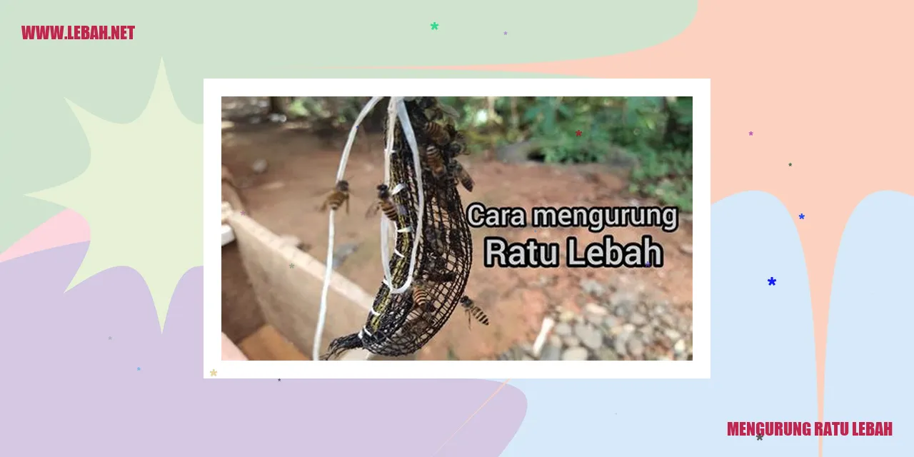 Mengurung Ratu Lebah