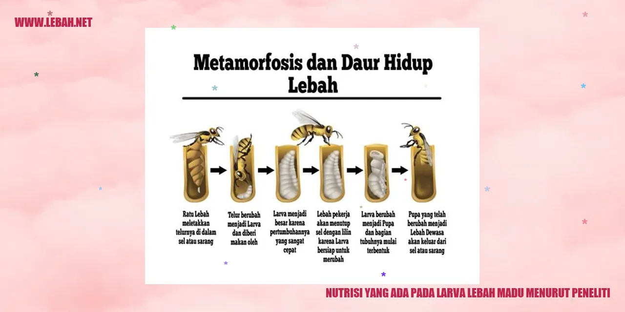 nutrisi yang ada pada larva lebah madu menurut peneliti