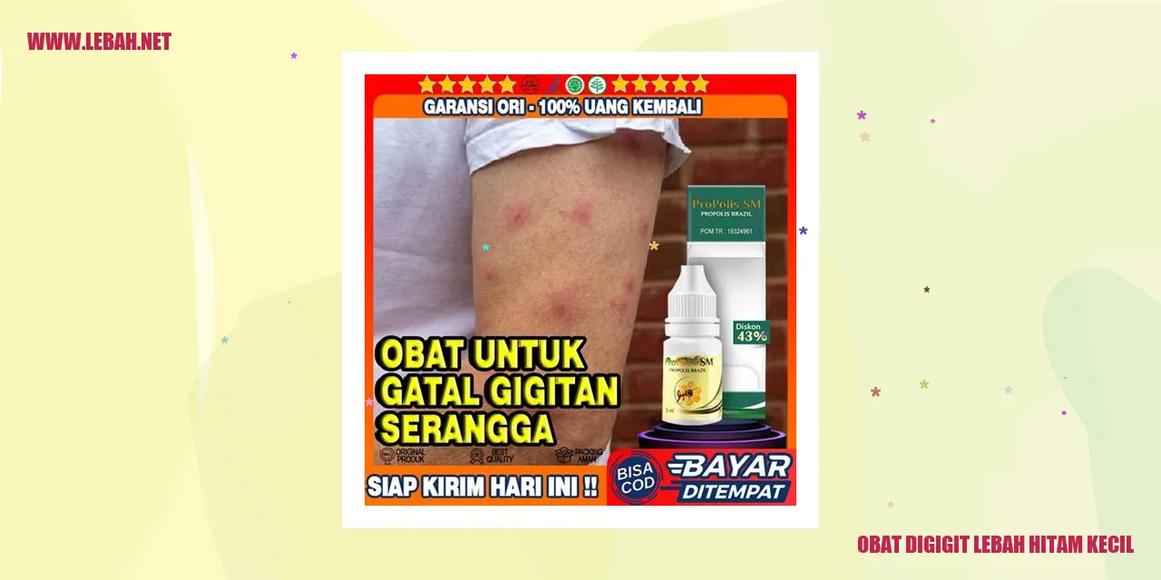 obat digigit lebah hitam kecil