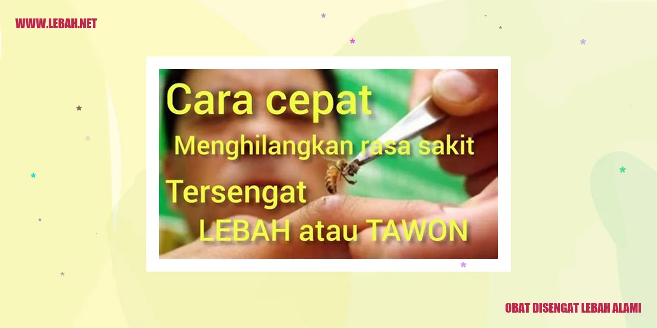 obat disengat lebah alami