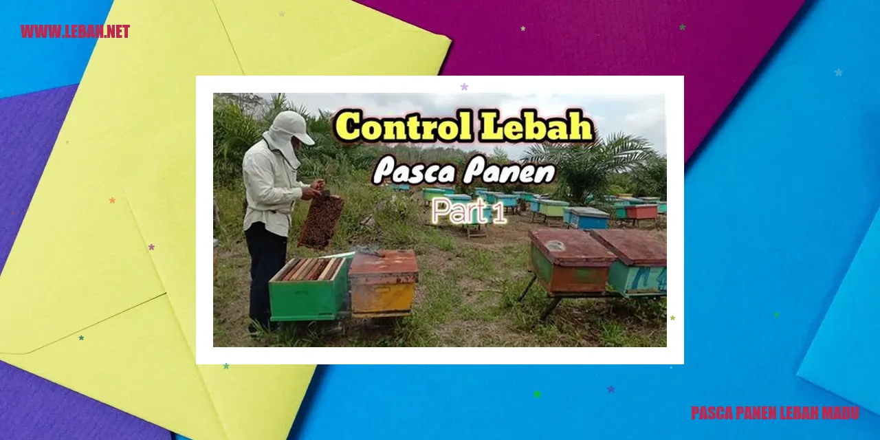 pasca panen lebah madu