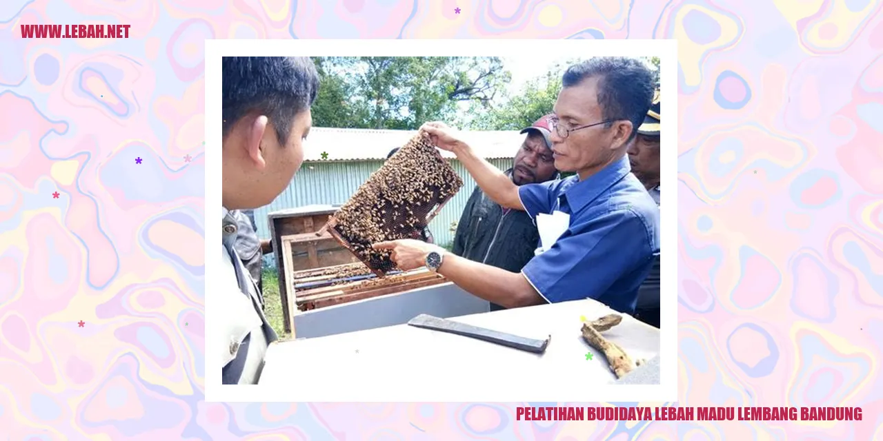 Pelatihan Budidaya Lebah Madu di Lembang, Bandung