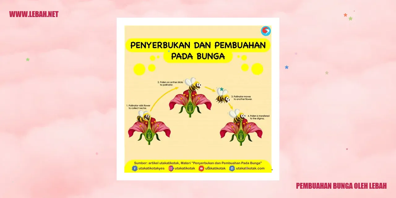 Pembuahan Bunga oleh Lebah