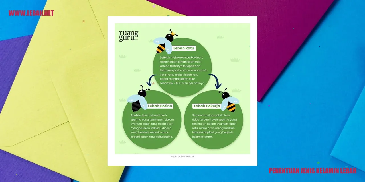 penentuan jenis kelamin lebah