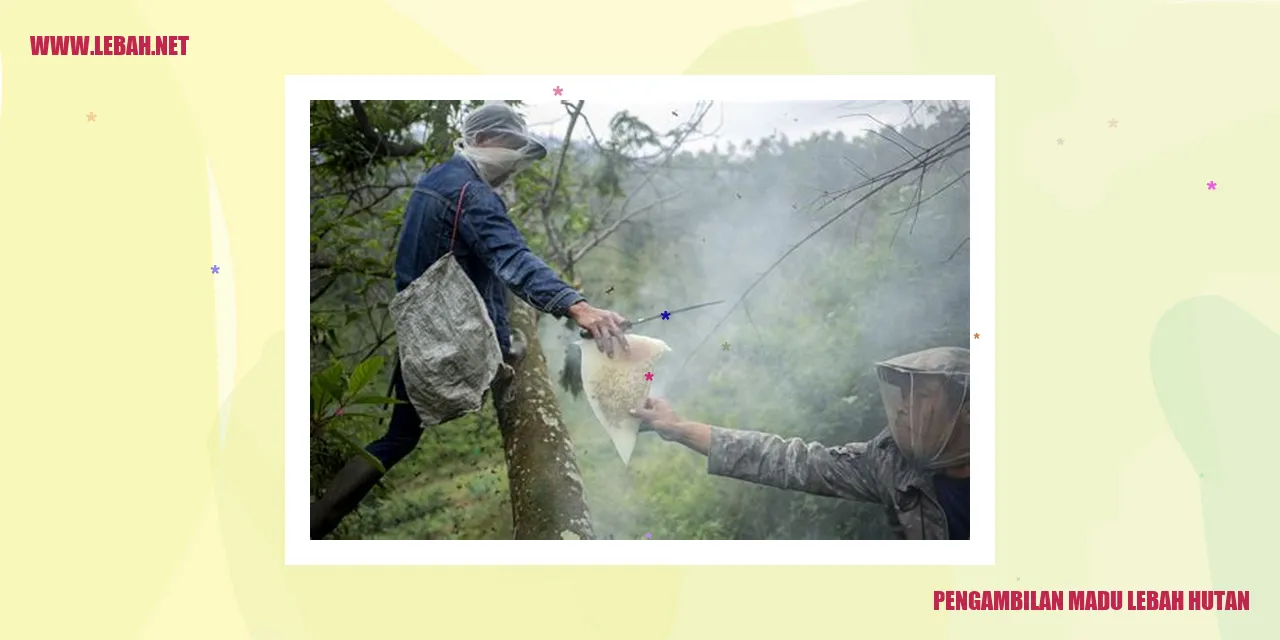 Gambar Madu Lebah Hutan