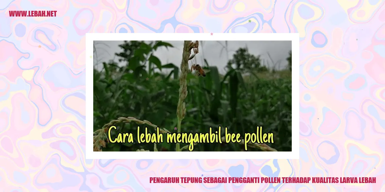 pengaruh tepung sebagai pengganti pollen terhadap kualitas larva lebah