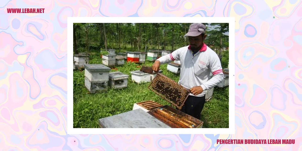 Gambar Pengertian Budidaya Lebah Madu