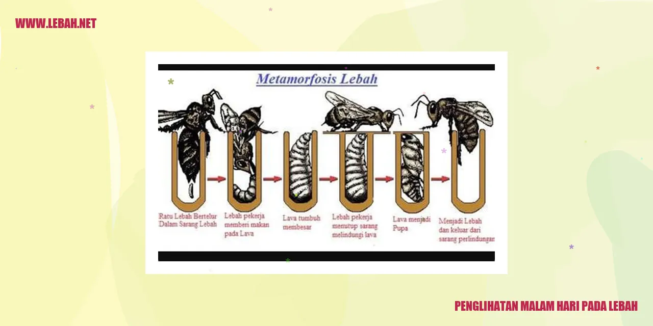 Lampu LED yang terinspirasi oleh mata lebah