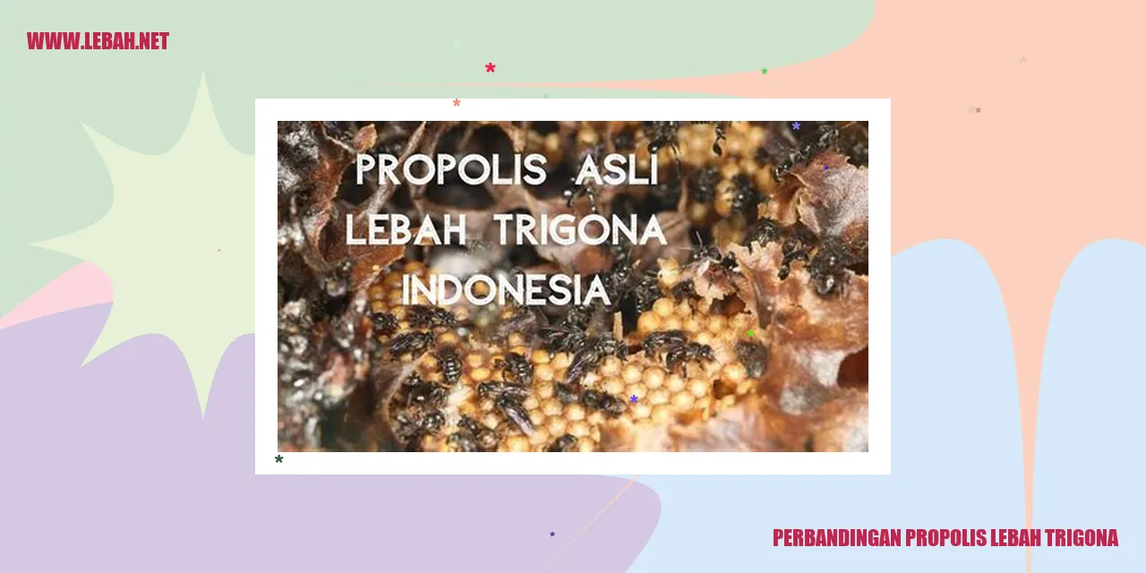 Gambar Propolis Lebah Trigona