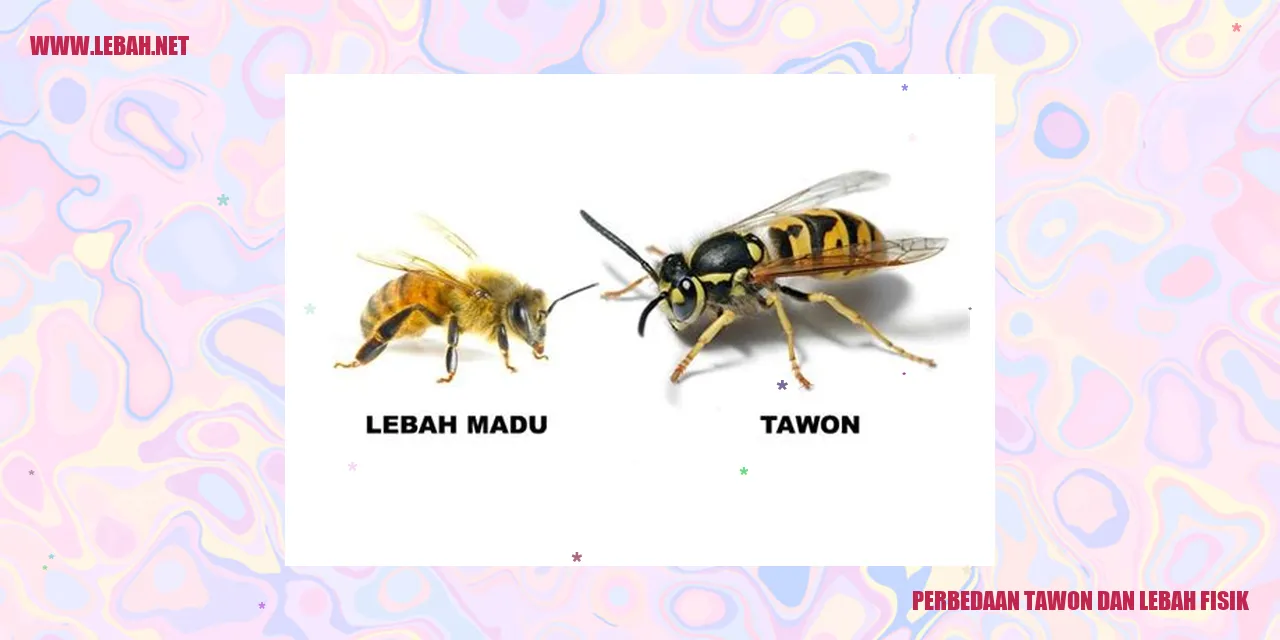 Tawon dan lebah