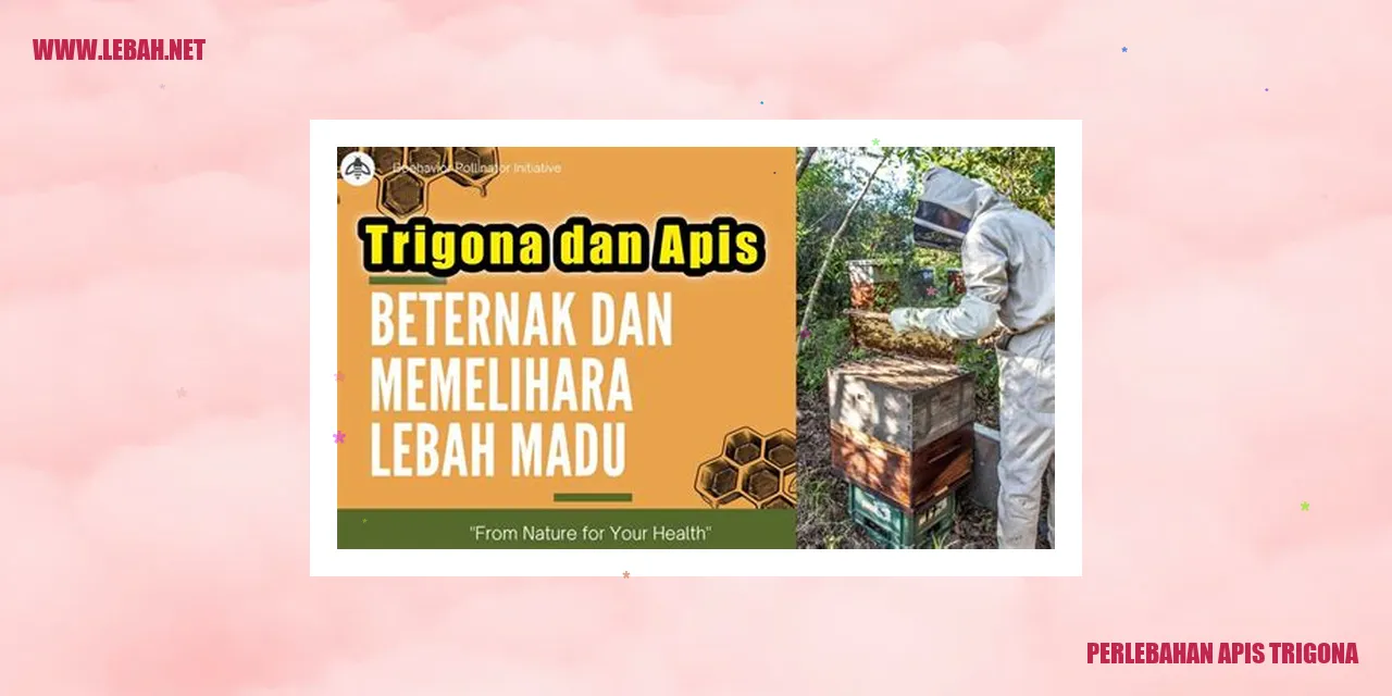 Perlebahan Apis Trigona