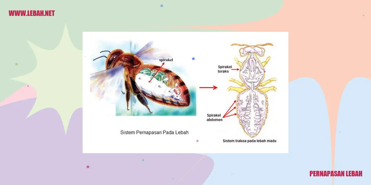 pernapasan lebah