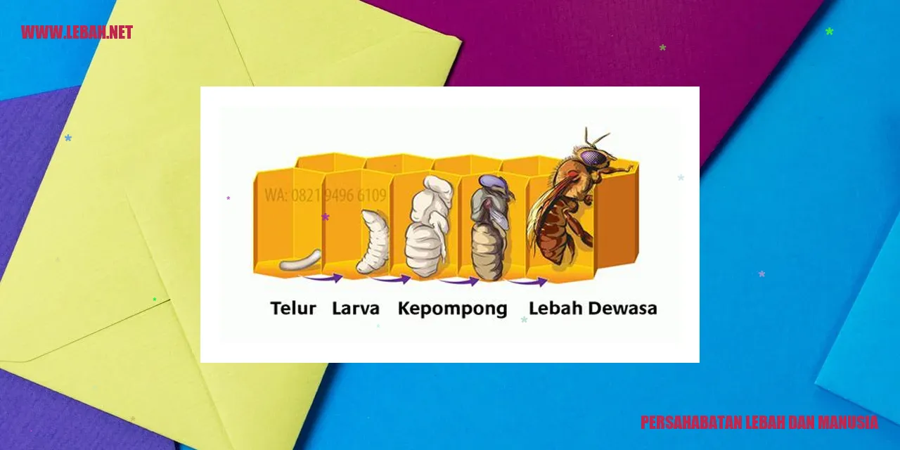 Persahabatan Lebah dan Manusia