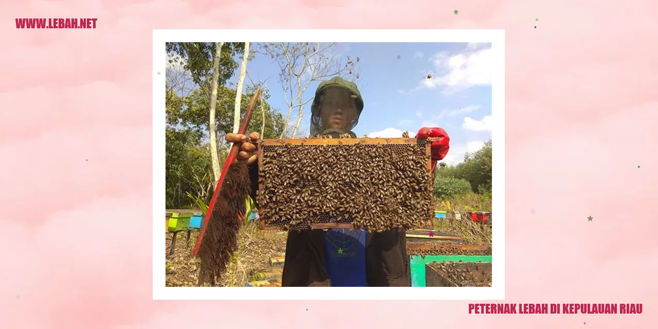 Peternak Lebah di Kepulauan Riau