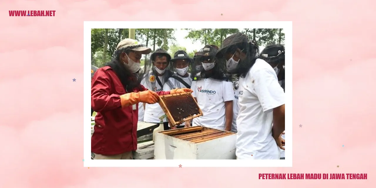 Lebah Madu di Jawa Tengah