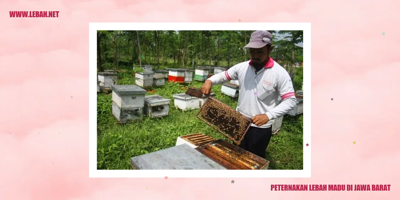 Peternakan Lebah Madu di Jawa Barat