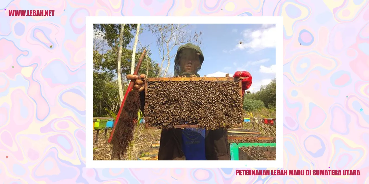 Peternakan Lebah Madu di Sumatera Utara