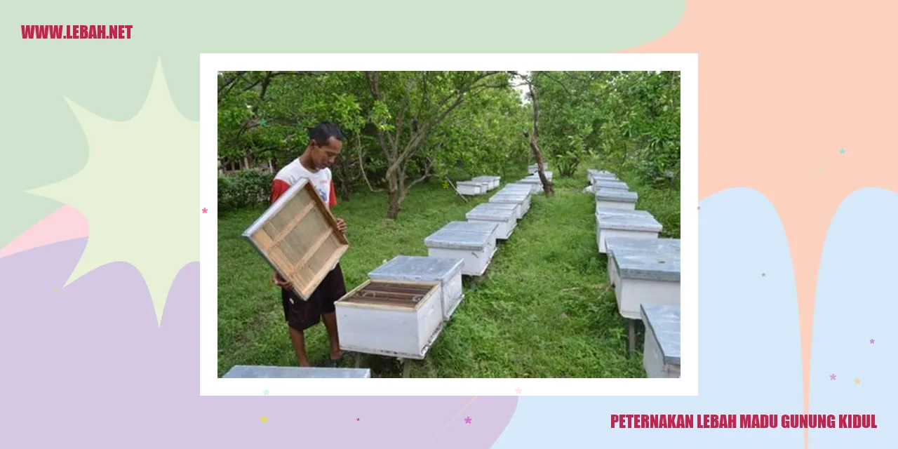 Peternakan Lebah Madu Gunung Kidul