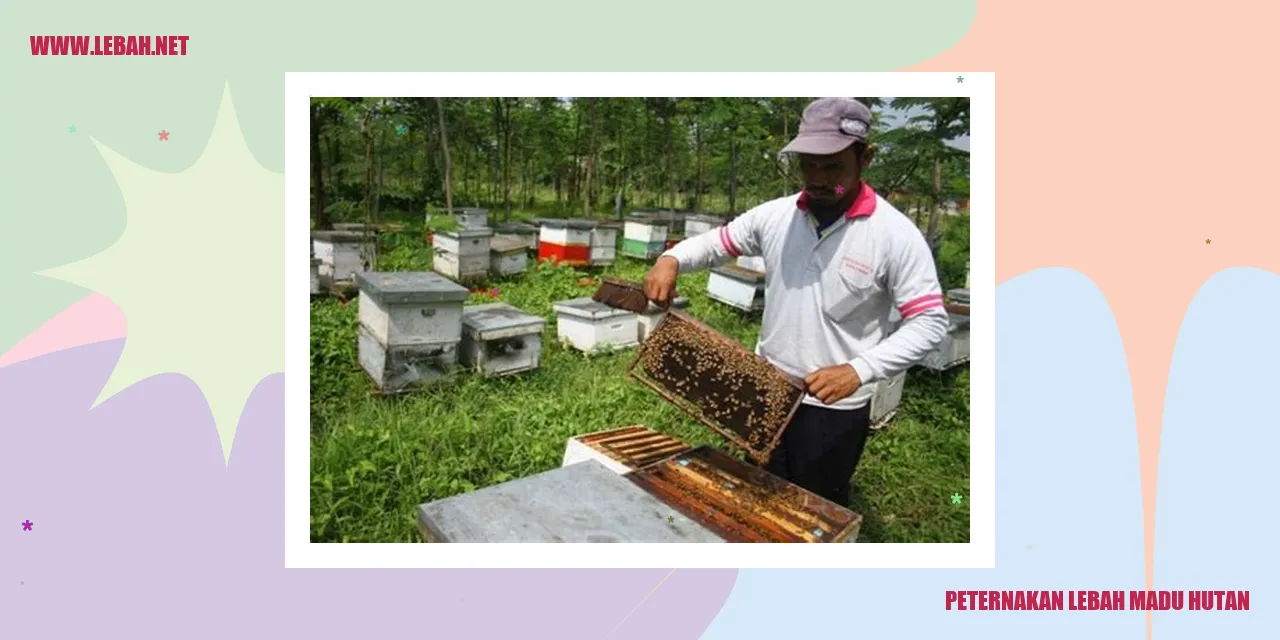 Peternakan Lebah Madu Hutan