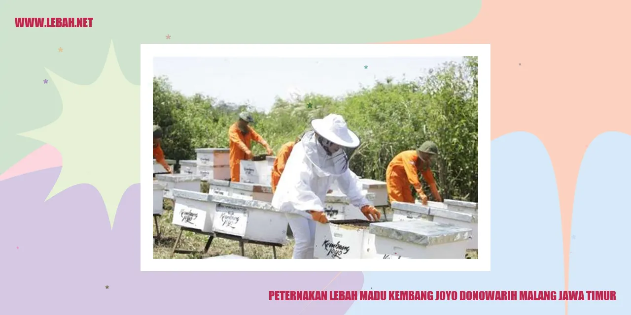 Peternakan Lebah Madu Kembang Joyo Donowarih Malang Jawa Timur