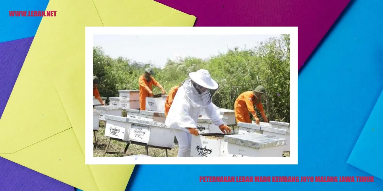 Peternakan Lebah Madu Kembang Joyo di Malang Jawa Timur