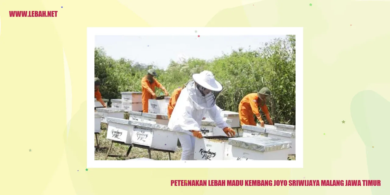 Peternakan Lebah Madu Kembang Joyo Sriwijaya di Malang, Jawa Timur