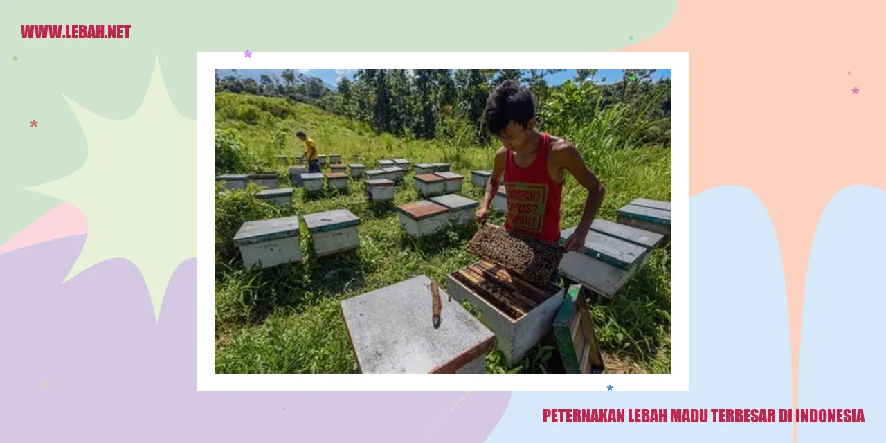 Peternakan Lebah Madu Terbesar di Indonesia