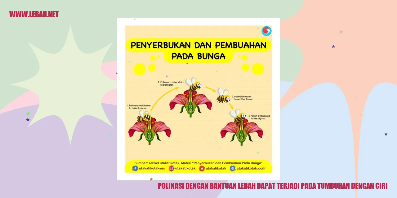 Polinasi dengan Bantuan Lebah