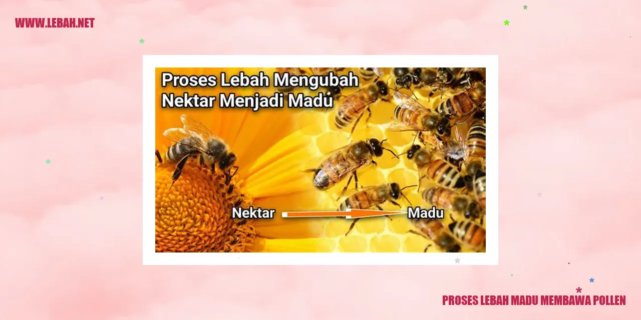 Gambar 1: Lebah madu sedang mengumpulkan pollen