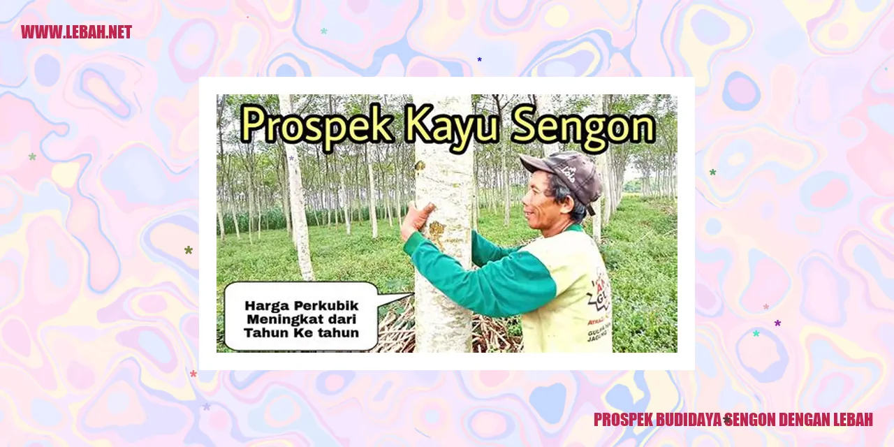 prospek budidaya sengon dengan lebah