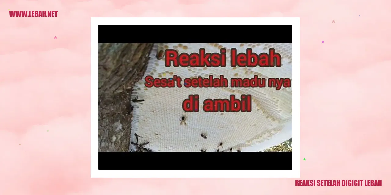 reaksi setelah digigit lebah