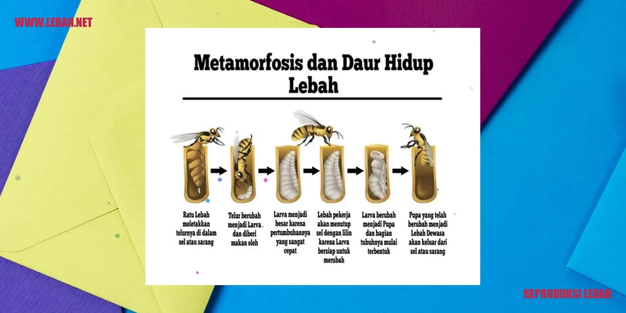 reproduksi lebah