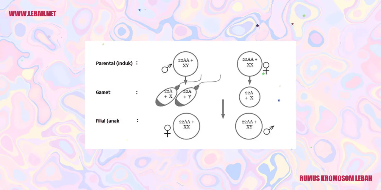 rumus kromosom lebah