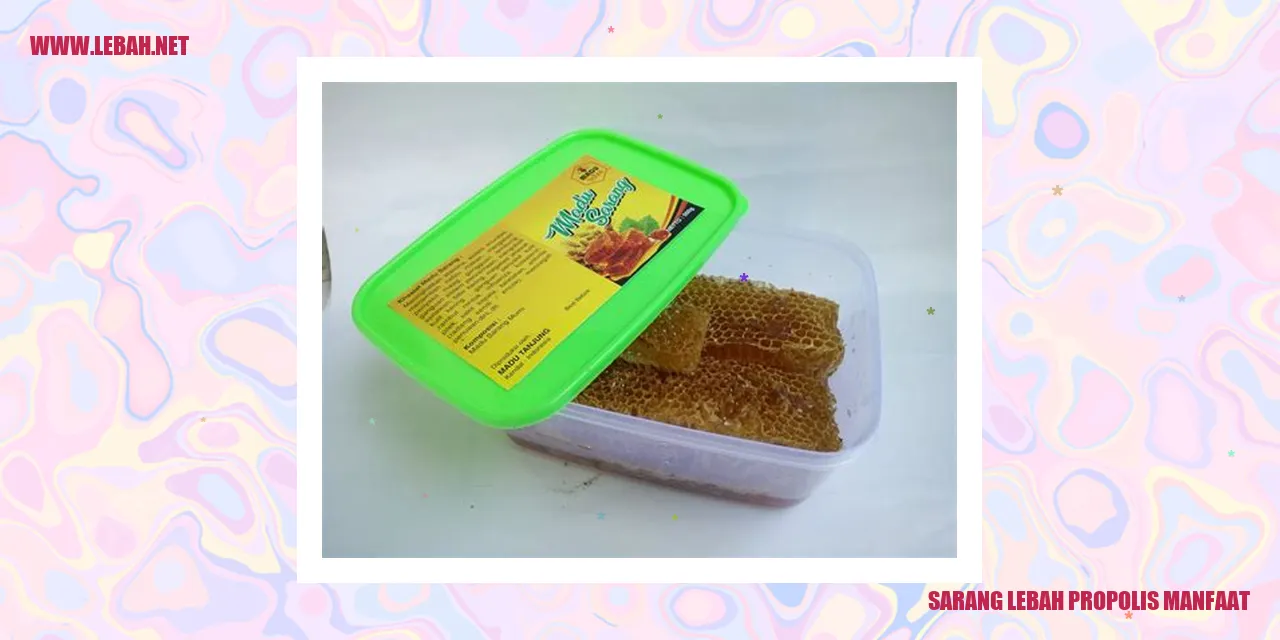 sarang lebah propolis manfaat