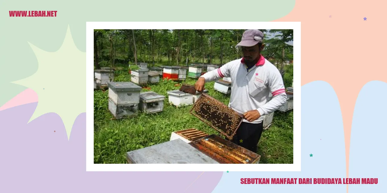 budidaya lebah madu