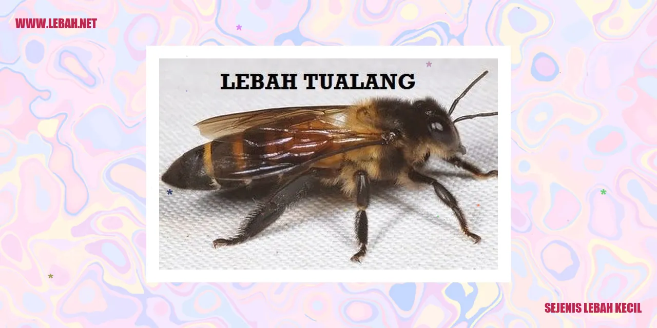 sejenis lebah kecil