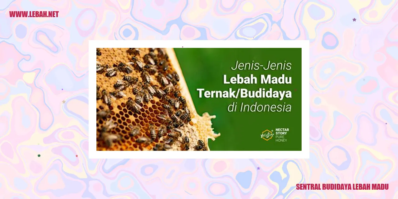 sentral budidaya lebah madu