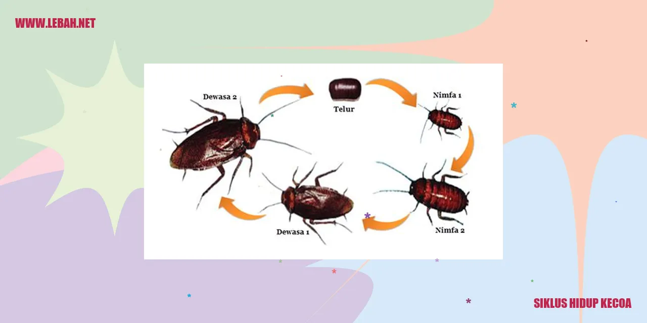 siklus hidup kecoa