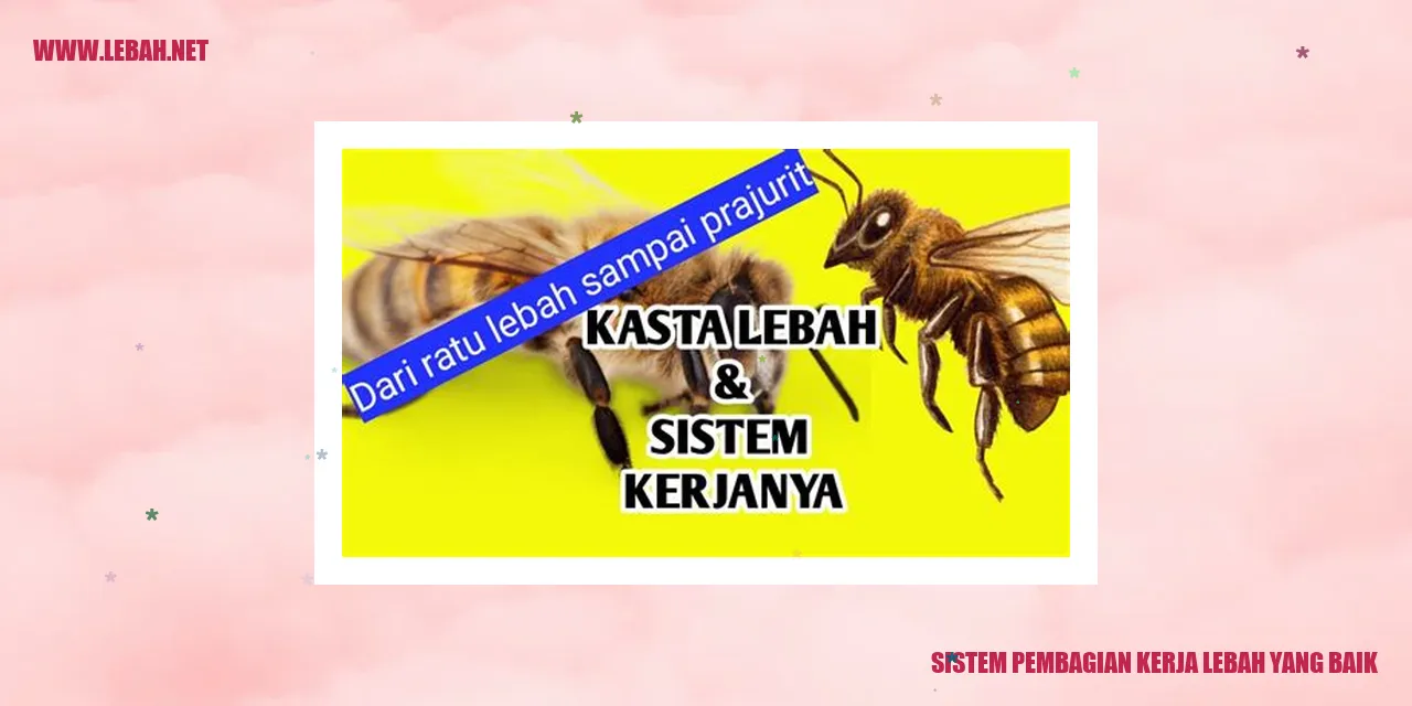 sistem pembagian kerja lebah yang baik