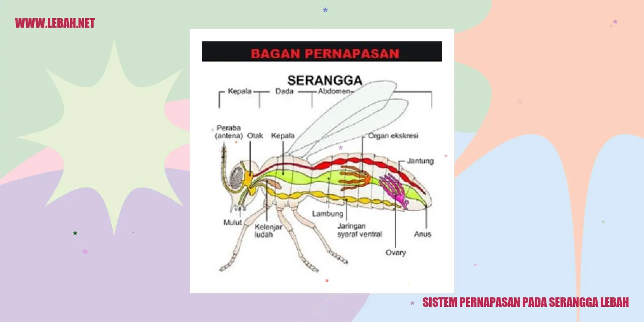 Serangga Lebah