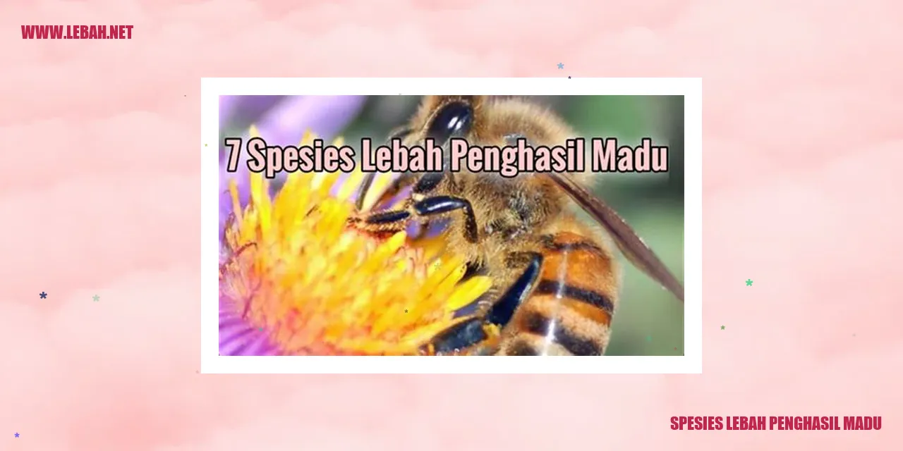 spesies lebah penghasil madu