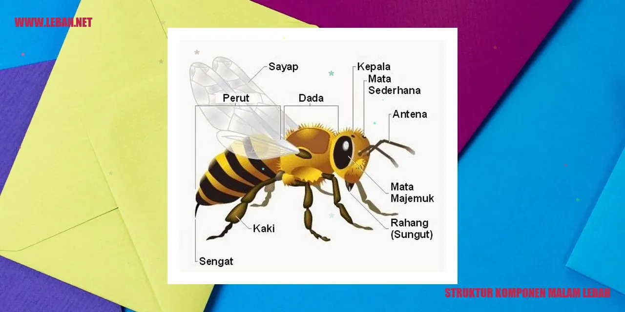 Struktur Komponen Malam Lebah