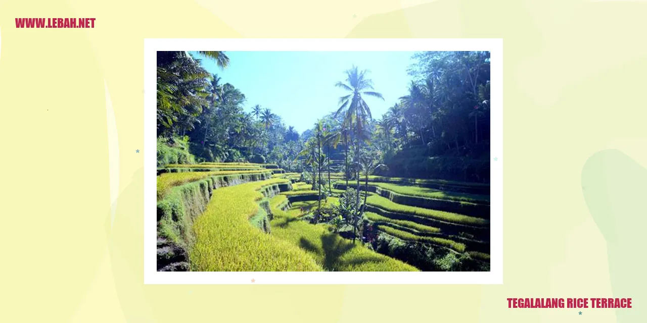 Tegalalang Rice Terrace