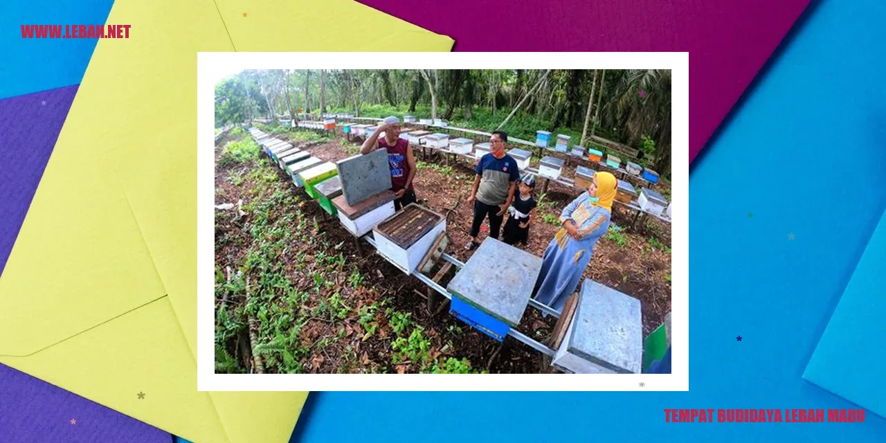 tempat budidaya lebah madu