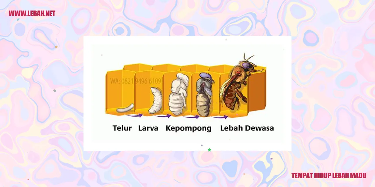 Sarang Lebah Madu