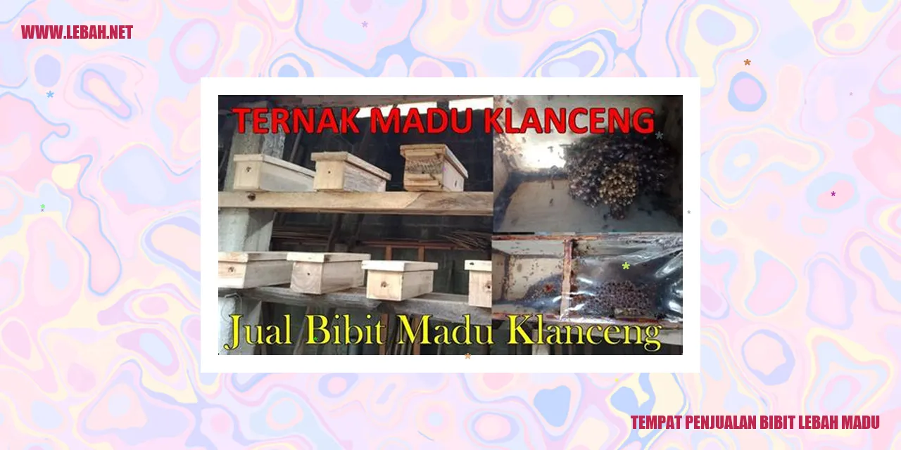 Penjualan Bibit Lebah Madu