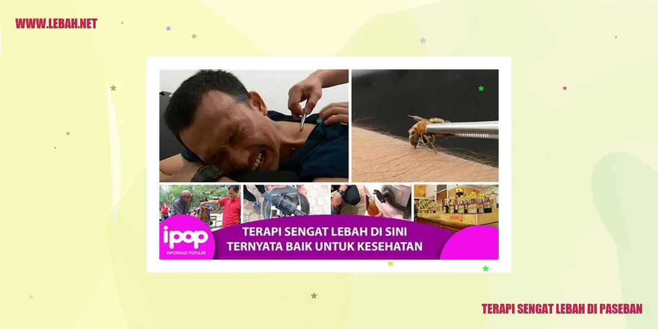 Terapi Sengat Lebah di Paseban